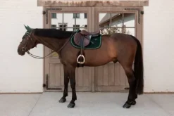 Discount Tapis de selle Velvet - Kentucky - Tissu velours élégant Tapis De Cso|Tapis De Selle