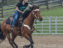 New Tapis de selle Western confort en laine tissée Thiline Tapis Western|Tapis De Selle