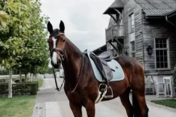 Sale Tapis de selle Wool - Kentucky - Matelassage en étoiles Tapis De Cso|Tapis De Selle