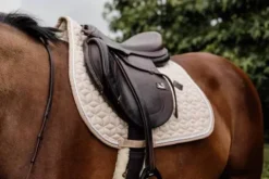 Sale Tapis de selle Wool - Kentucky - Matelassage en étoiles Tapis De Cso|Tapis De Selle