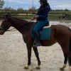Tapis dressage vert sapin Tapis De Dressage|Tapis De Selle