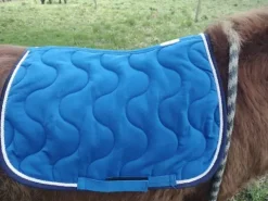 Online Tapis equitheme Tapis De Cso