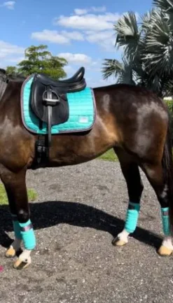 Sale Tapis Frosty Mint - Tapis De Dressage|Tapis De Cso