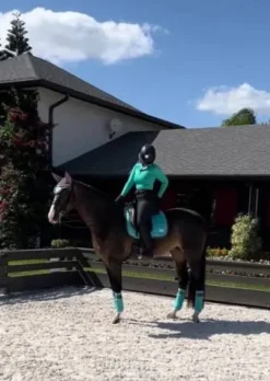 Sale Tapis Frosty Mint - Tapis De Dressage|Tapis De Cso