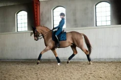 Tapis Glimmer Blue Meadow DRESSAGE - Tapis De Dressage|Tapis De Selle