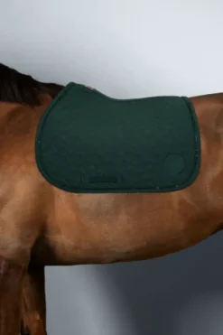 Best Tapis Saphir Tapis De Cso|Tapis De Selle