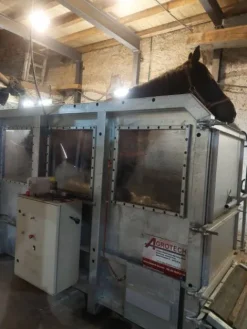 Online Tapis immeé Tapis Roulant Chevaux