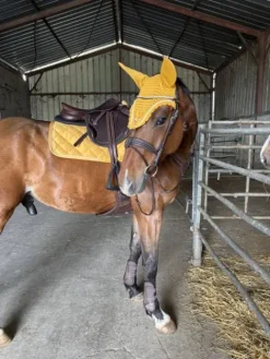 Discount Tapis    Jaune Tapis De Cso