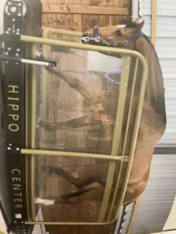 New TAPIS MARCHEUR HIPPOCENTER Tapis Roulant Chevaux