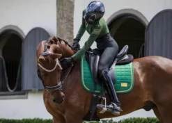 Clearance Tapis mixte Evergreen Gold - Tapis De Cso|Tapis De Selle