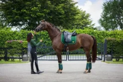 Clearance Tapis mixte Evergreen Gold - Tapis De Cso|Tapis De Selle