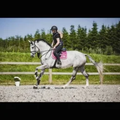 Clearance Tapis My Passion - Divine Rose Tapis De Dressage|Tapis De Selle