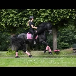 Clearance Tapis My Passion - Divine Rose Tapis De Dressage|Tapis De Selle