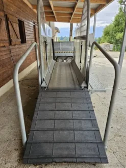 Clearance Tapis Roulant HIPPOCENTER Protrainer trop et galop Tapis Roulant Chevaux