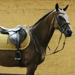 Clearance Tapis Velvet - Kentucky Tapis De Cso|Tapis De Selle