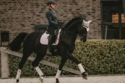 Sale Tapis Velvet Pearl DRESSAGE - KENTUCKY Tapis De Dressage|Tapis De Selle