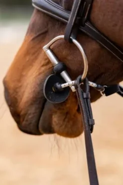 Sale Busy Buddy - Aide votre cheval à se relaxer Comportements·Nervosité Et Stress