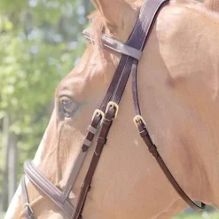 Hot Têtière anatomique Dy'on Collection - Dy'on Bridons Et Brides·Têtières