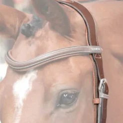 Têtière New York - Jump'In - Collection One Bridons Et Brides·Têtières