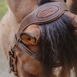 Têtière New York - Jump'In - Collection One Bridons Et Brides·Têtières