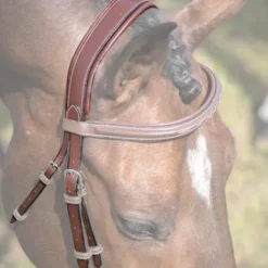 New Têtière Paris / Bruxelles - Jump'In - Cuir Bridons Et Brides·Têtières