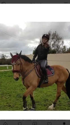 Hot Un lot de tapis Tapis De Selle|Tapis De Selle