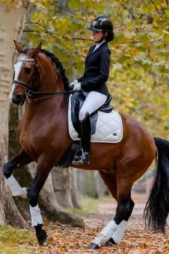 Discount Veste de concours JADE - - Softshell technique Femme La Cavalière En Concours|La Femme En Concours