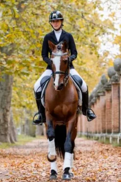 Discount Veste de concours JADE - - Softshell technique Femme La Cavalière En Concours|La Femme En Concours