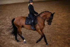 Discount Veste Polaire All Black Glimmer - Femme Tenue D'Équitation Femme·Sweat Shirt, Polaire Et Pull Femme