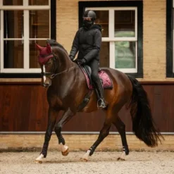 Outlet Veste Rayah manches détachables - - Doublée teddy Femme Tenue D'Équitation Femme·Parka, Blouson, Doudoune