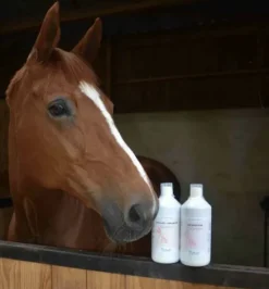 Clearance Vitalité  Immunité  Liquide - Comportements·Système Immunitaire|Forme Et Performances·Système Immunitaire